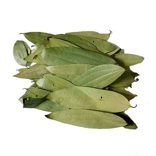 sehfh Banoful Bay Leaf
