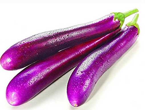 Untitled 5 Long Eggplant