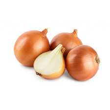 onion1 Onion